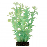 Растение светящееся "Людвигия" зеленая, 200мм, (блистер) купить в Новосибирске