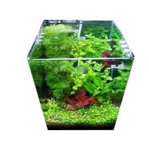 Аквариум "Креветочник" 20 л (25*25*32 см) купить в Новосибирске