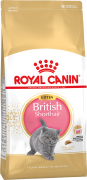 Royal Canin BRITISH SHORTHAIR KITTEN. Корм для Британских короткошерстных котят до 12 месяцев, 10кг купить в Новосибирске на сайте зоомагазина Два друга