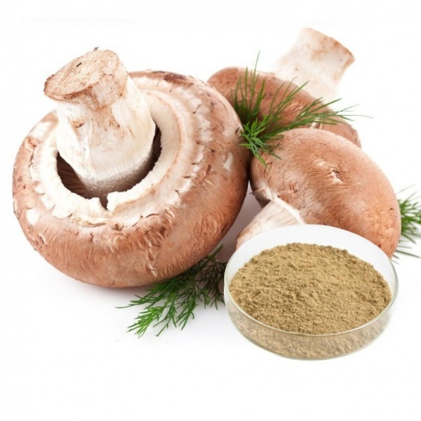 Грибная мука для улиток 50г