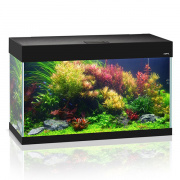 Аквариум AQUAEL"OPTI SET 125" (125л) черный купить в Новосибирске