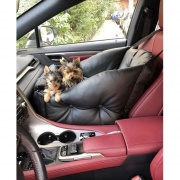 Автокресло для собак DogsCars
