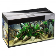 Аквариум AQUAEL"GLOSSY" 100, DAY&NIGHT 215л черный(100*40*63)LEDDY TUBE 14W SUNNY D&N 2.0 -2 шт. купить в Новосибирске
