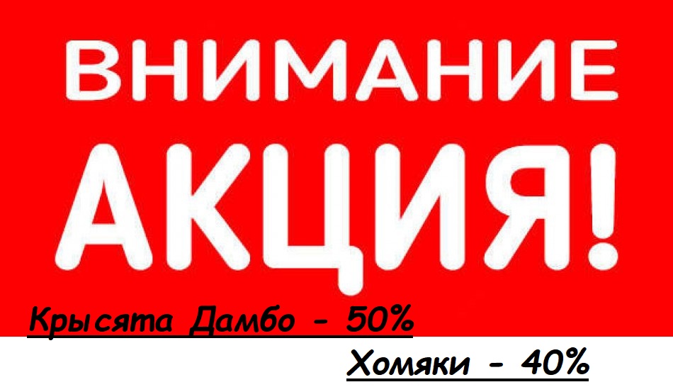 Акция!